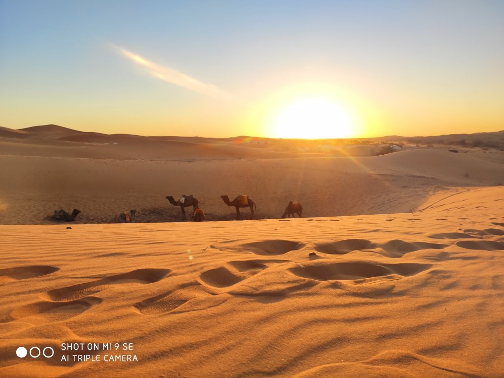 Sahara Luxury Trips-卡萨布兰卡必去景点