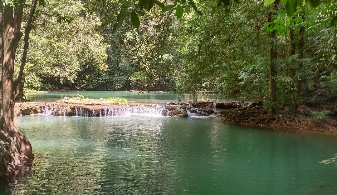 Than Bok Khorani National Park景点图片