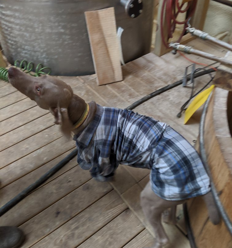 Three Boys Farm Distillery-法兰克福必去景点