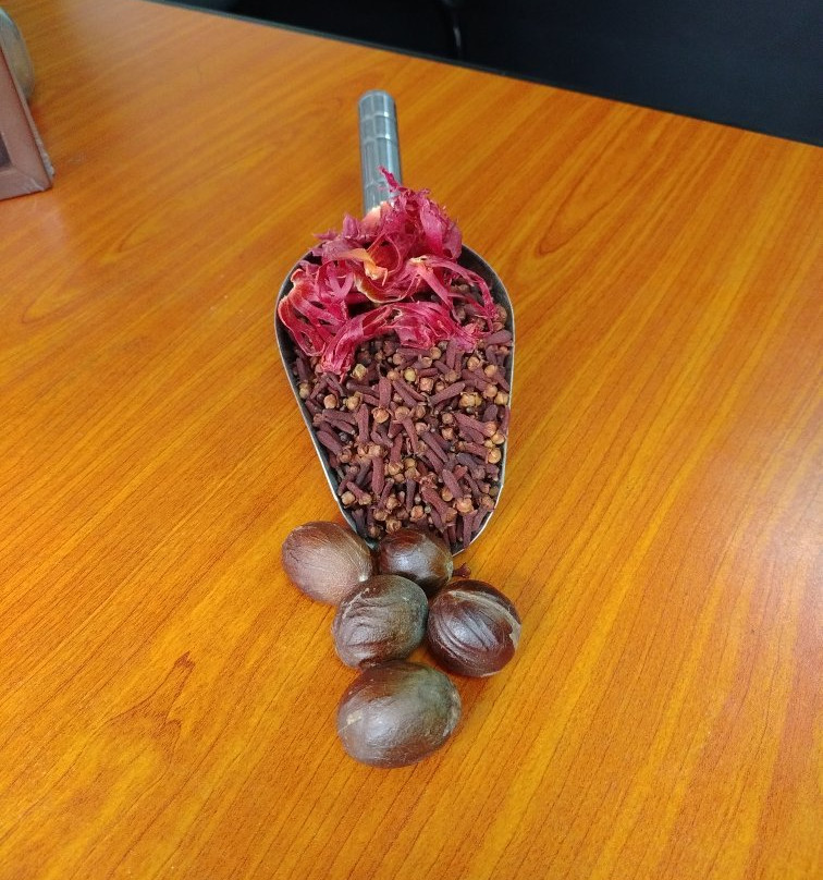 Singing Fish Tuk-科伦坡必去景点