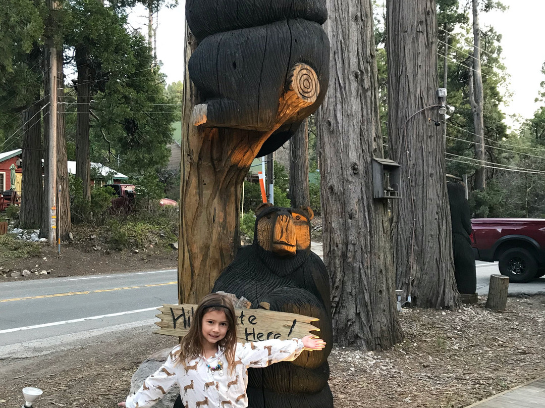 Arrowhead Pine Rose Cabins主图