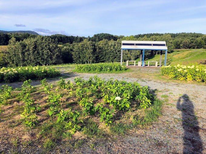 Sun Pillar Park-名寄必去景点