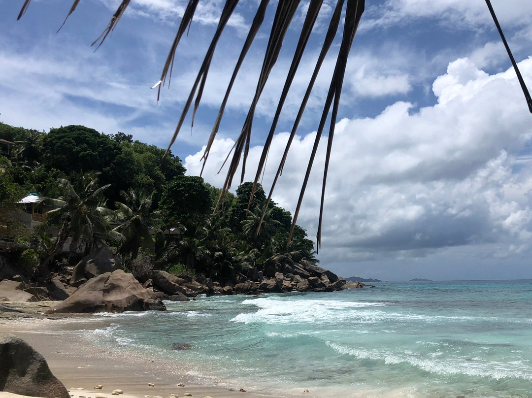 Anse Banane景点图片