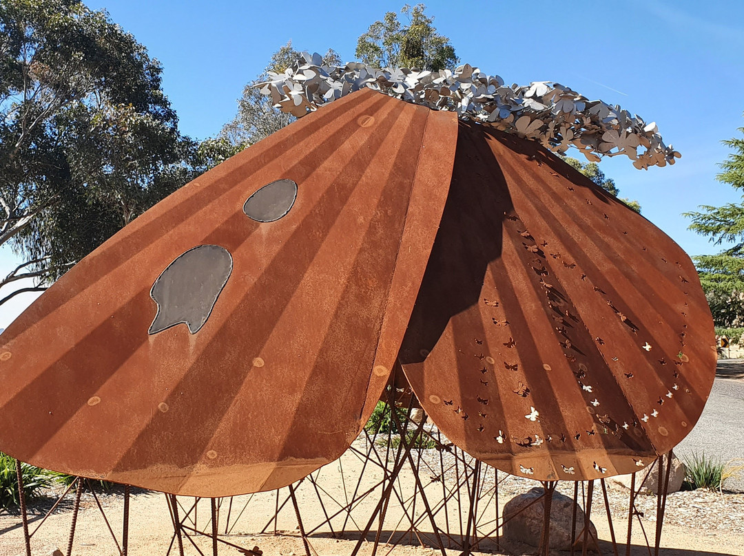 Jim Newman's Lookout-Tintaldra必去景点