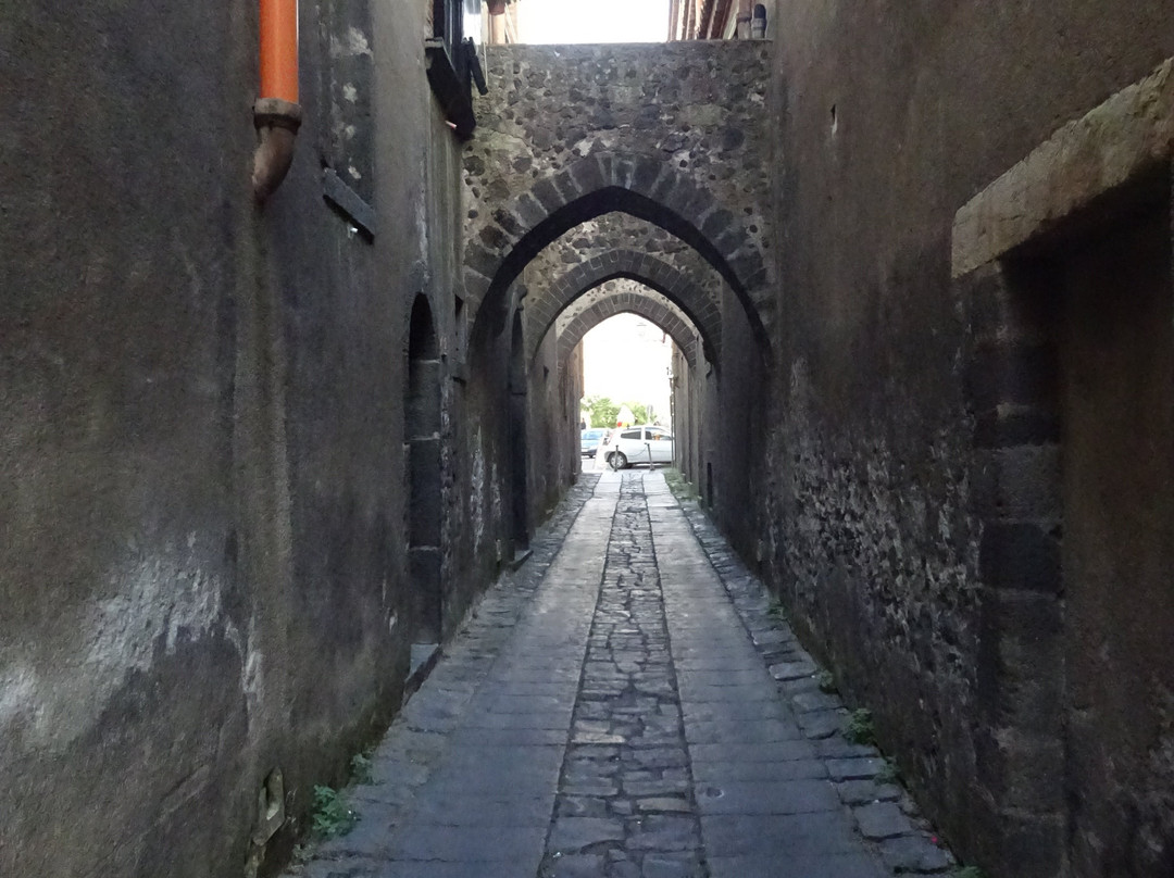 Via degli Archi景点图片