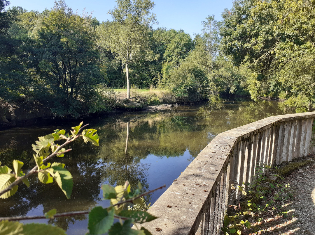 B&B Chateau des Bretonnieres sur Vie主图