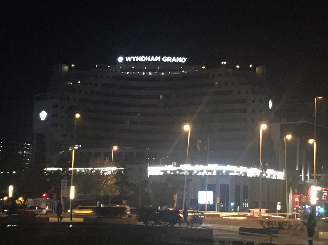 塞利希尔顿酒店主图