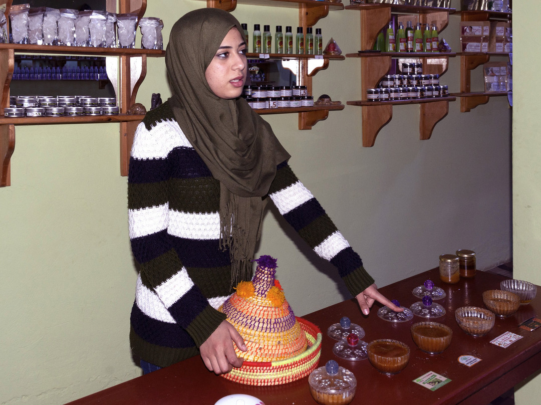 Elixir D'argane-阿加迪尔必去景点