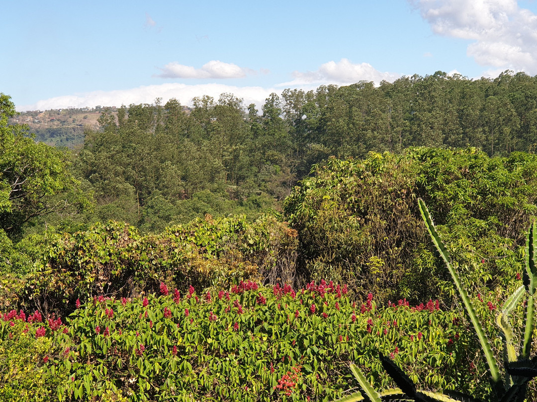 Vista Linda Montaña主图