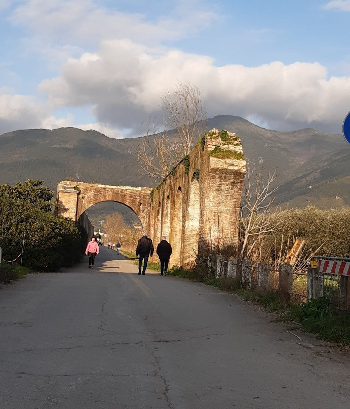 Acquedotto Mediceo景点图片