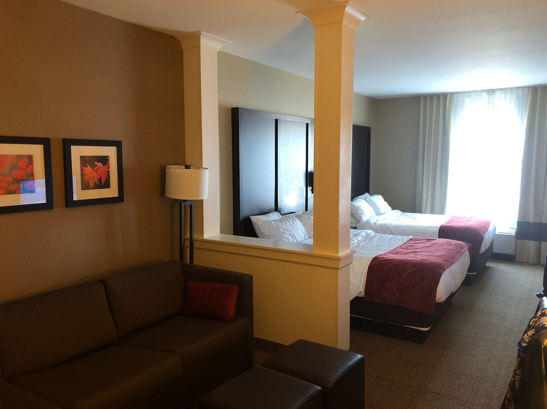 Comfort Suites Youngstown North主图