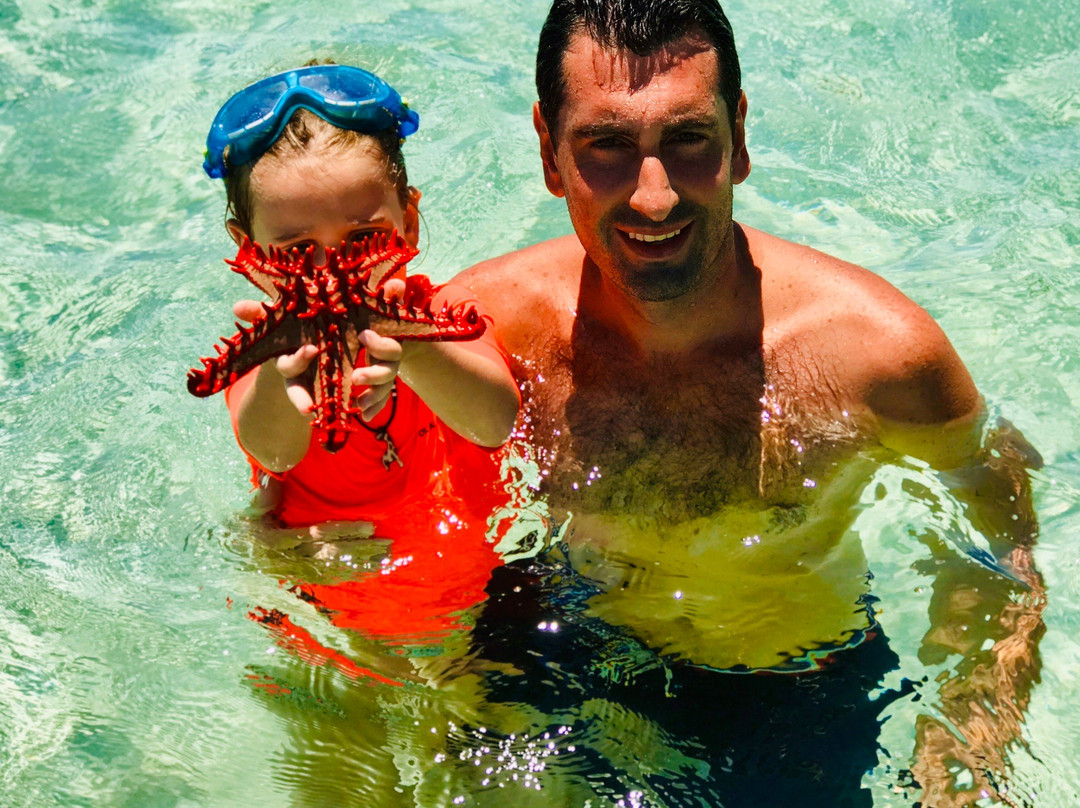 Mombasa Marine National Park-蒙巴萨必去景点