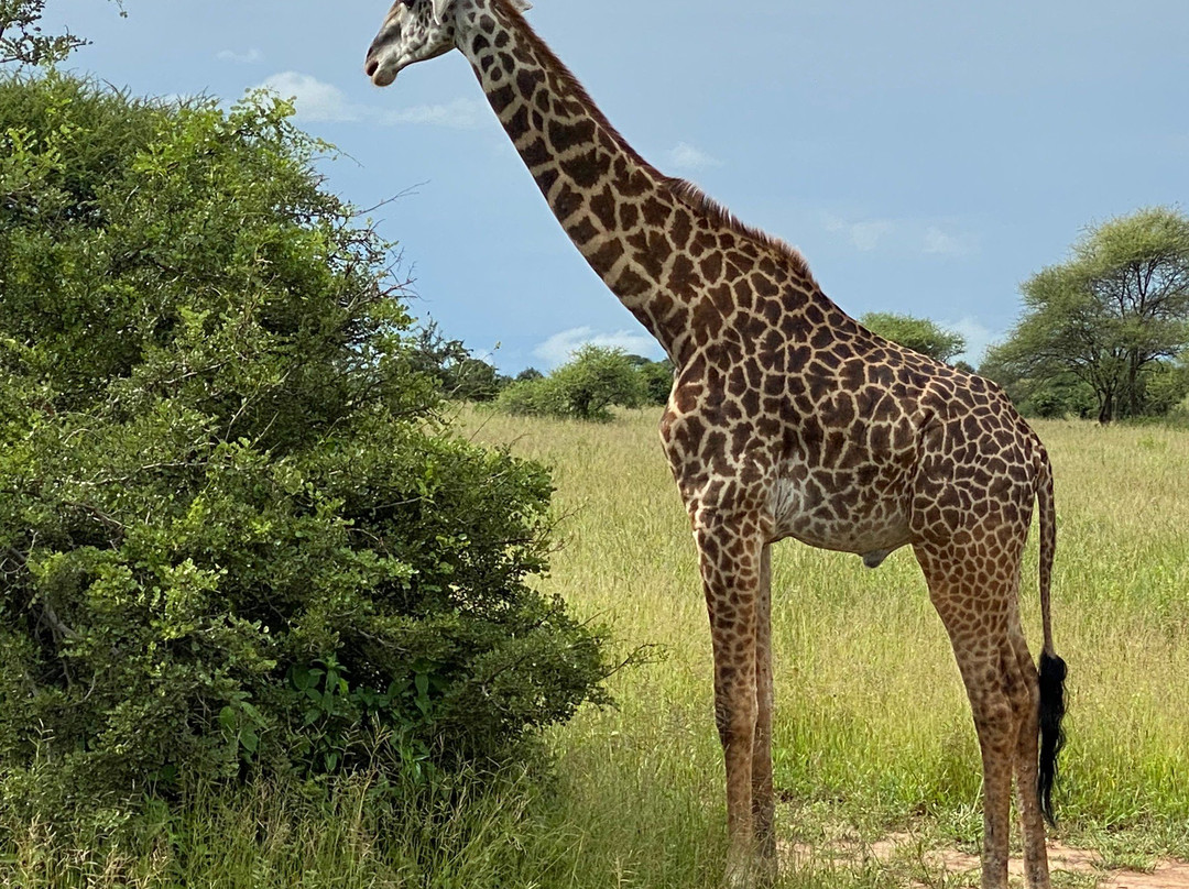 African DMC-阿鲁沙必去景点