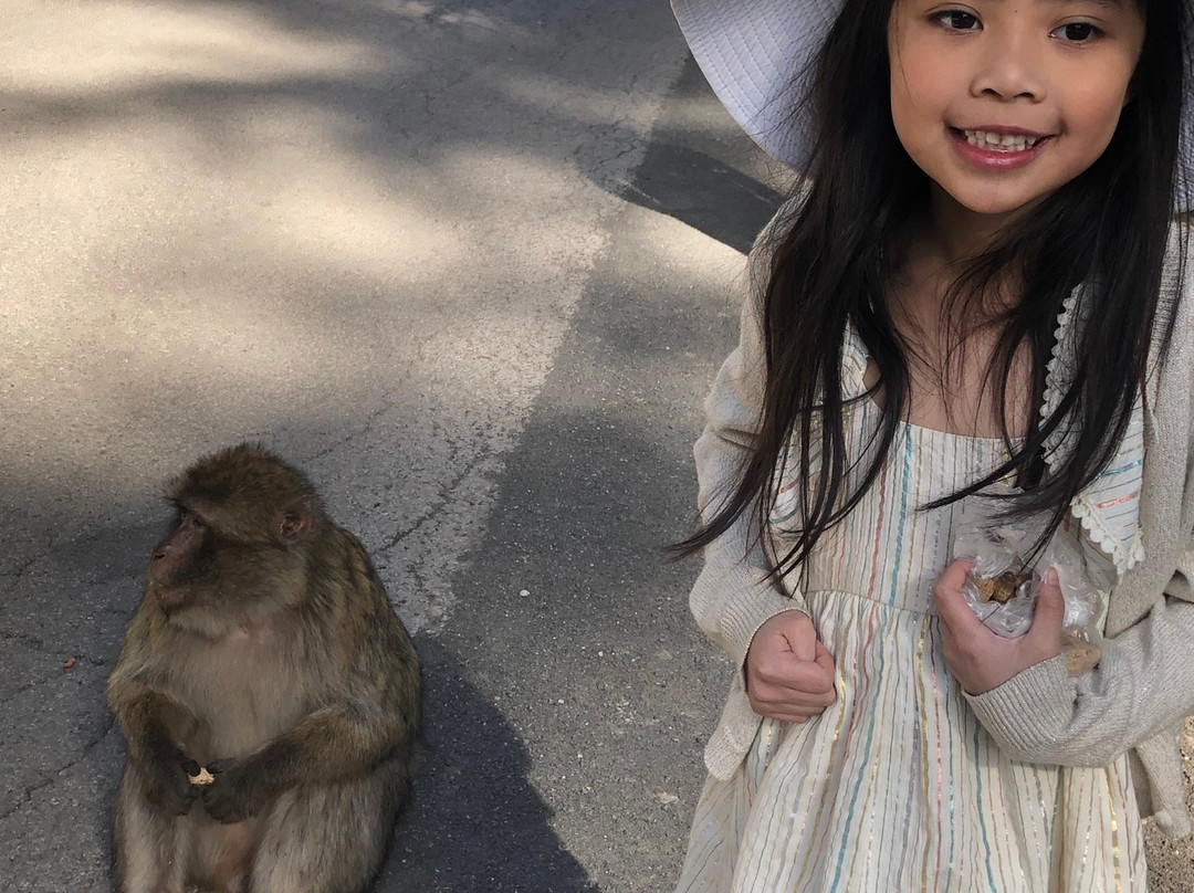 Sahara Luxury Trips-卡萨布兰卡必去景点