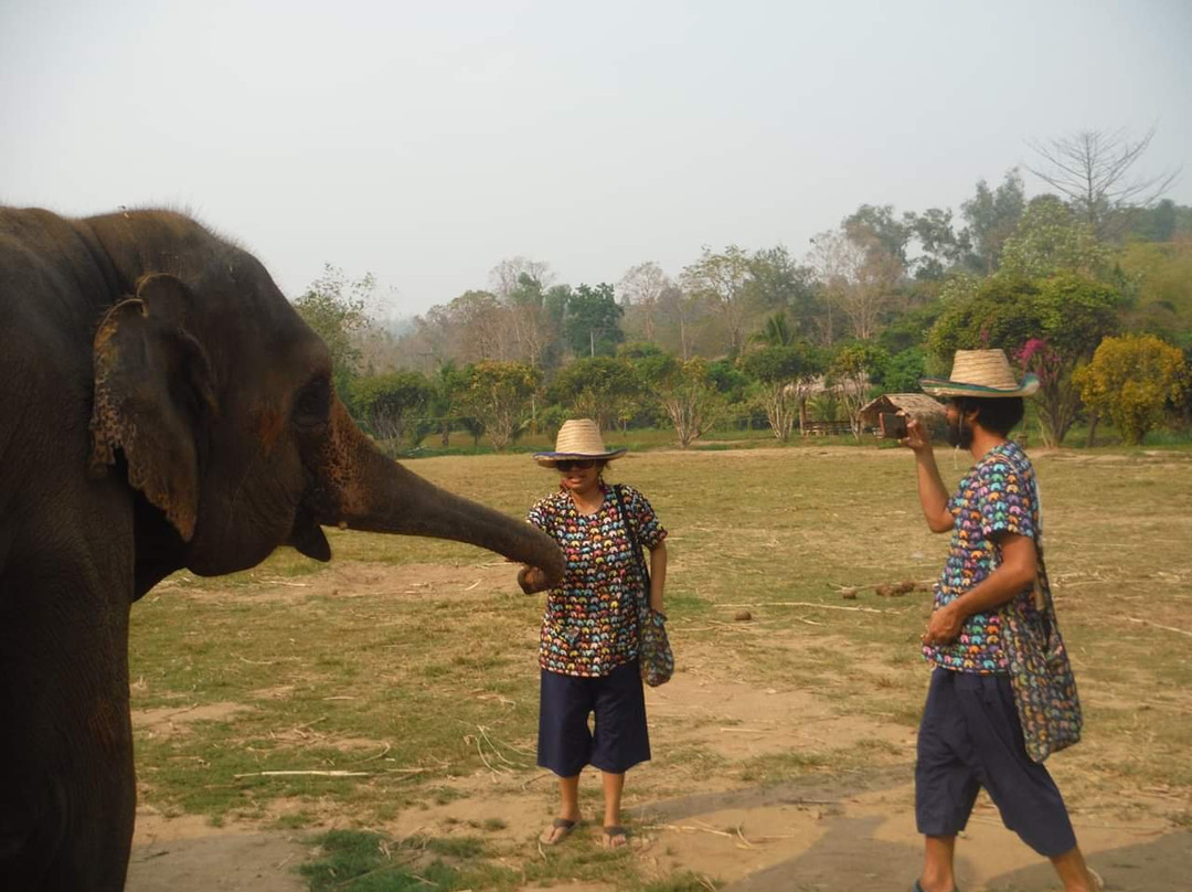 Karen Elephant Family-沙蒙必去景点
