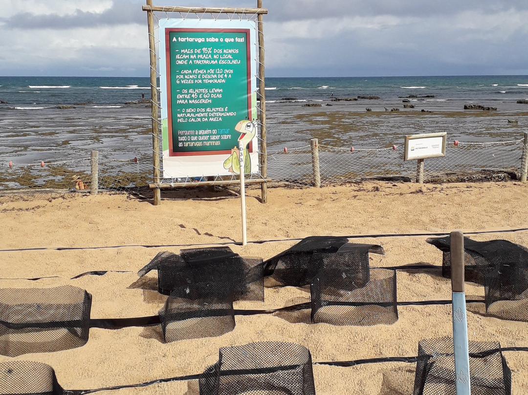 Projeto Tamar-Arembepe必去景点