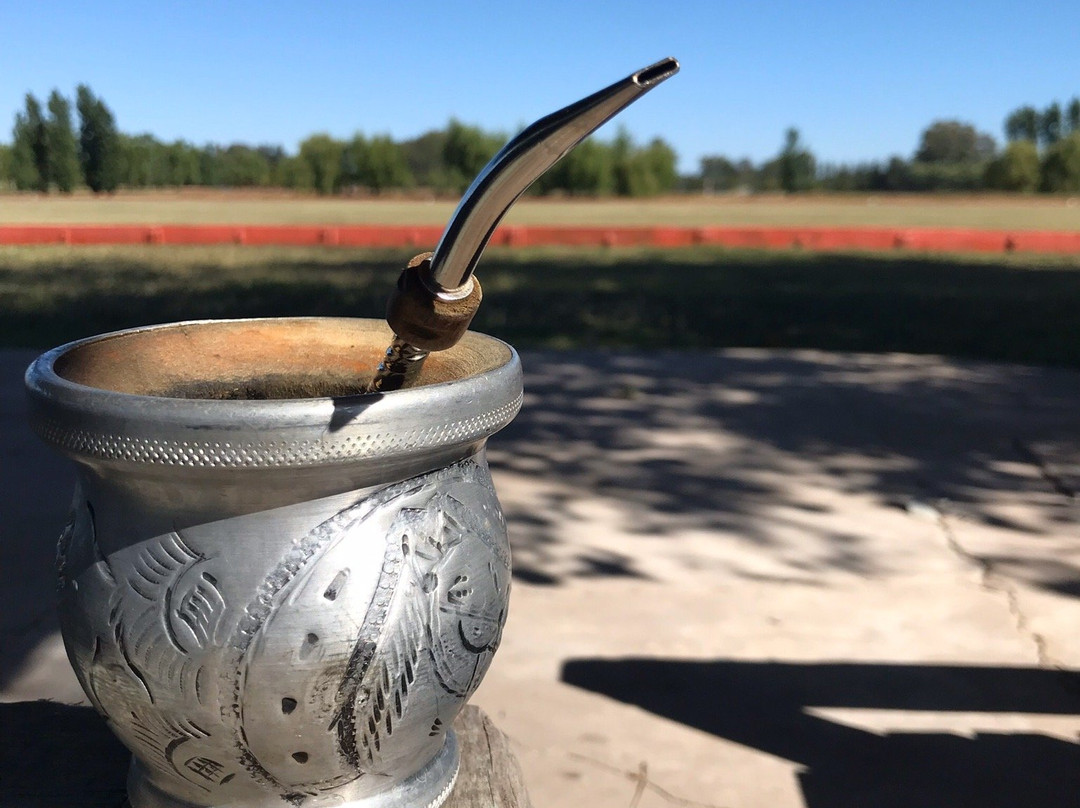 Polo in Buenos Aires景点图片