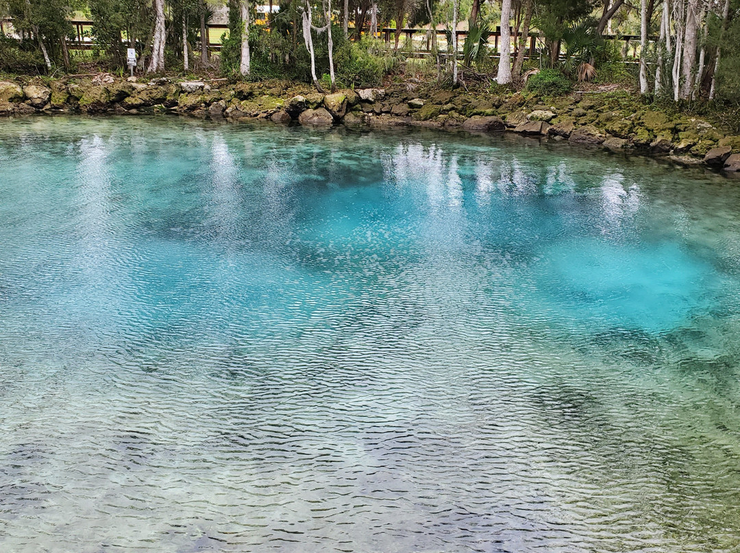 Three Sisters Springs-克里斯特尔里弗必去景点