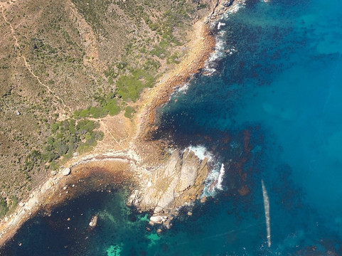 Cape Town Fynbos Experience-开普敦中心区必去景点