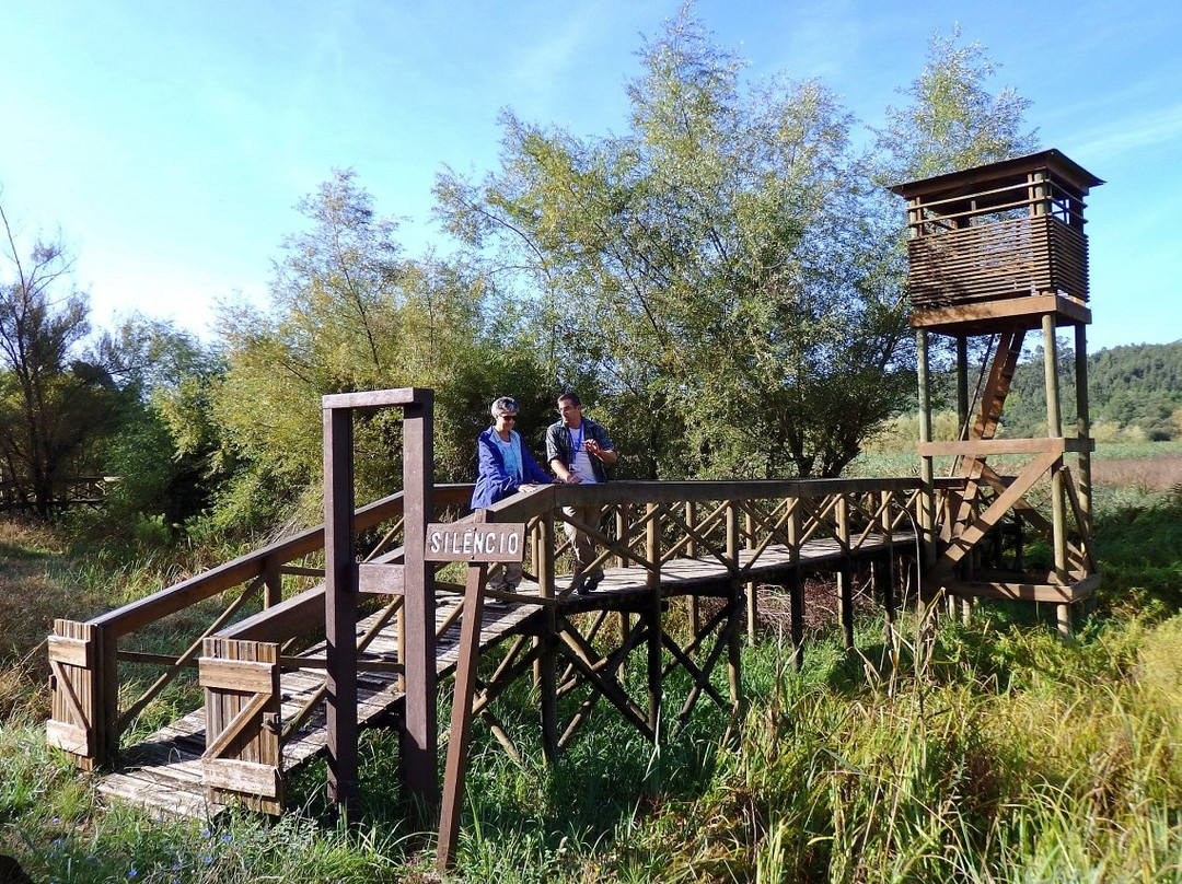Aventuras Forte(s) - Turismo de Natureza-科英布拉区必去景点