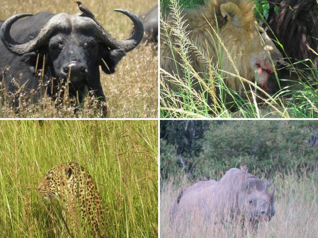 Enaidura Safaris-纳罗克必去景点