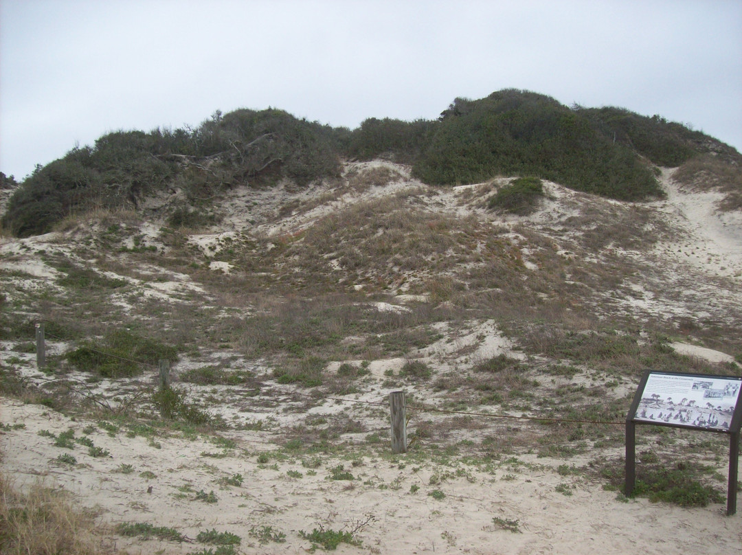 Burney Park-费尔南迪纳岛必去景点