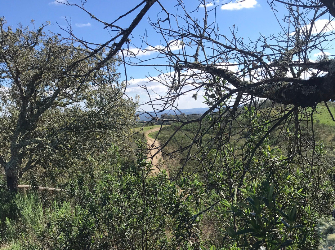 Necrópole da Atalaia-Ourique必去景点