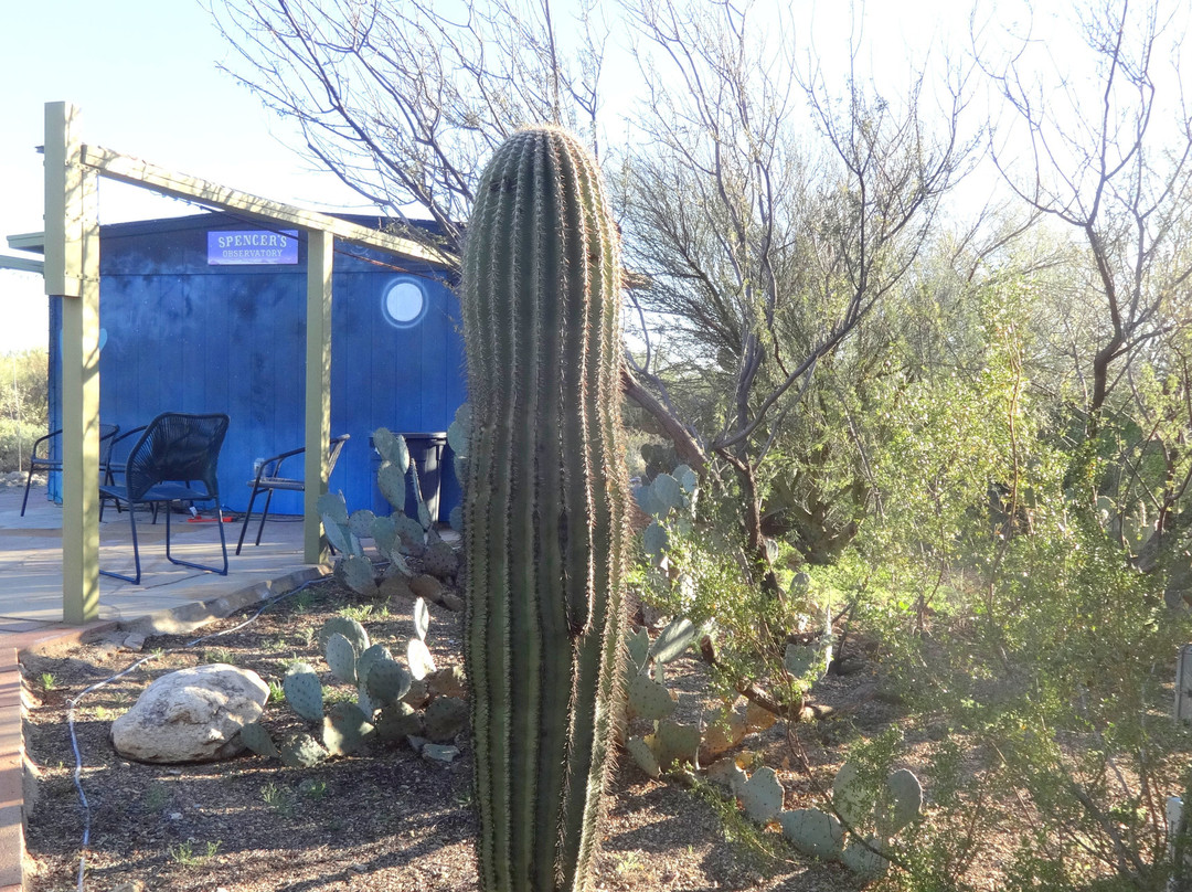 Cat Mountain Lodge & Roadside Inn主图