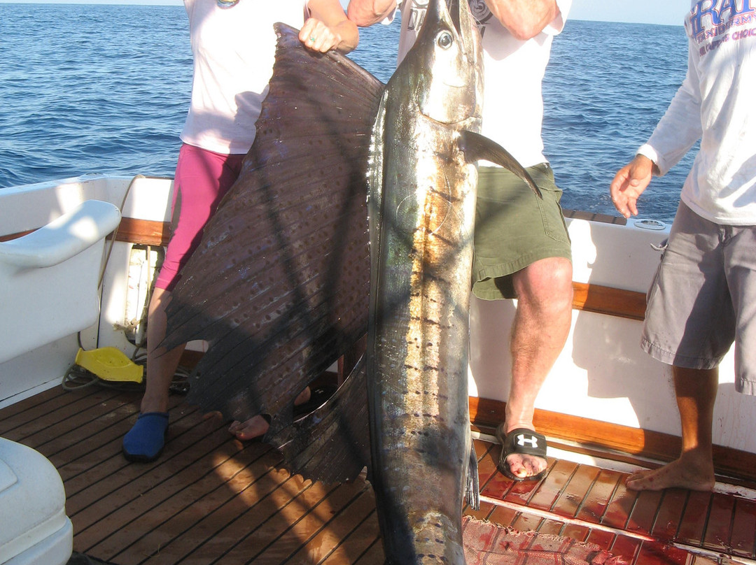 Fishing Fleets-印坦巴/芝华塔尼欧必去景点