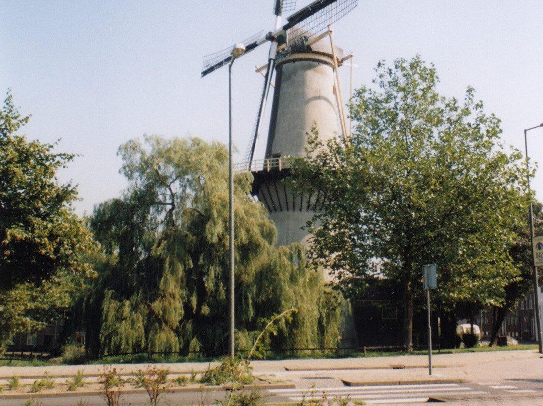 Schiedam Windmills景点图片