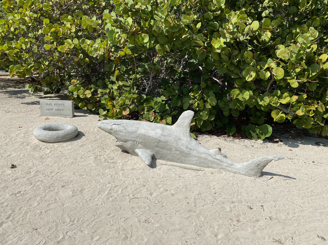 Davinoff's Concrete Sculpture Garden-Old Man Bay必去景点