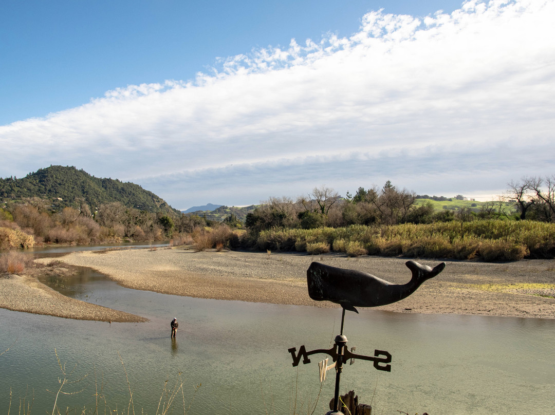 River Belle Inn主图