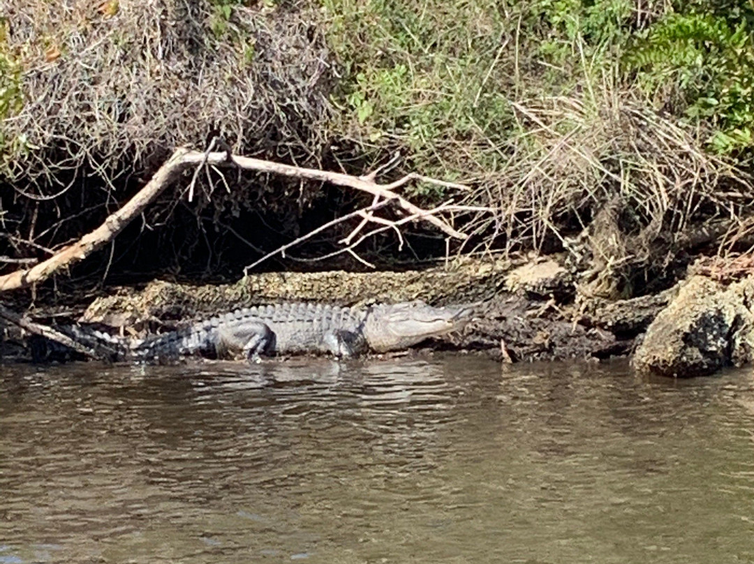 Nav-A-Gator-阿卡迪亚必去景点