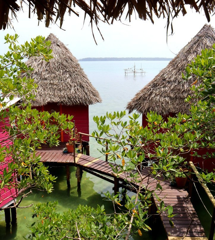 Monkey Island Bocas景点图片