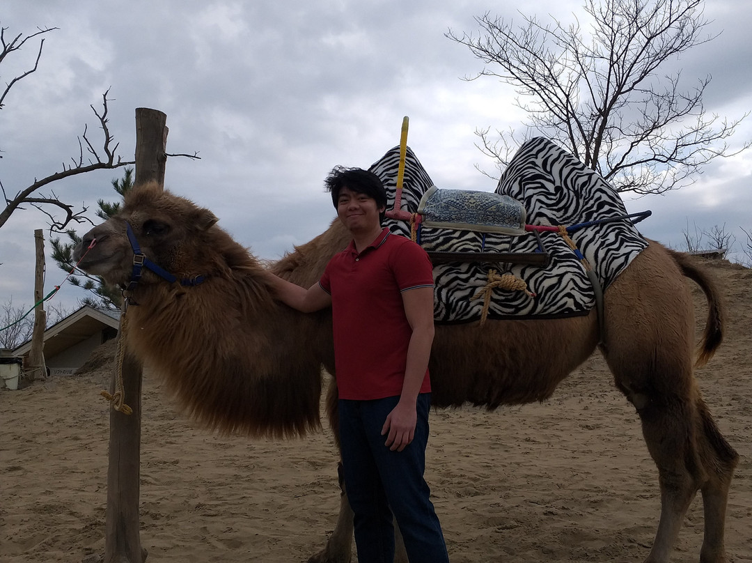 鸟取沙丘-鸟取市必去景点