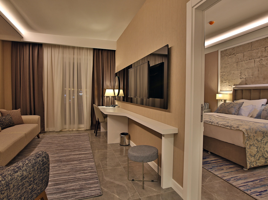 Mardin Airport Hotel主图