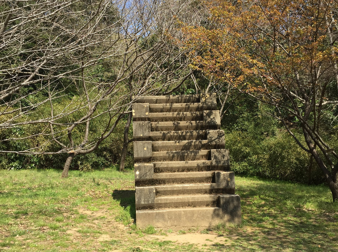 Stairs with 12 Steps for Training景点图片