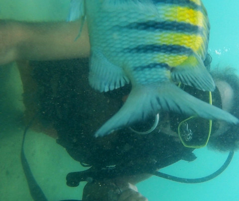 Submerso Scuba Diver-嘎林海斯港必去景点