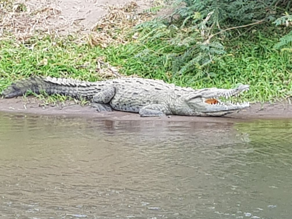 Life Time Tours of Costa Rica - Day Tours-Playa Matapalo必去景点