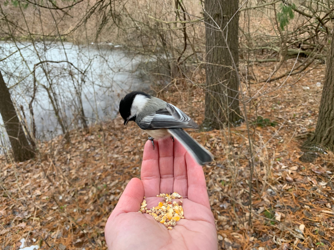 F.A. Seiberling Nature Realm-阿克伦必去景点