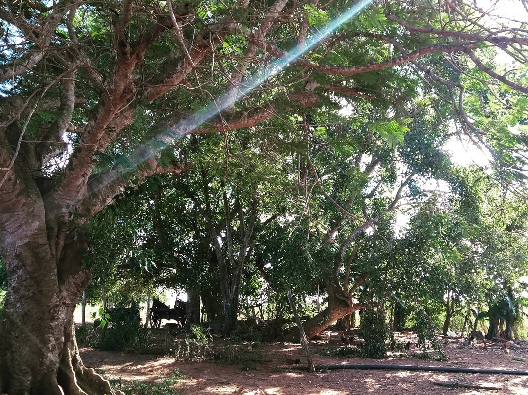 Guanahacabibes Peninsula景点图片