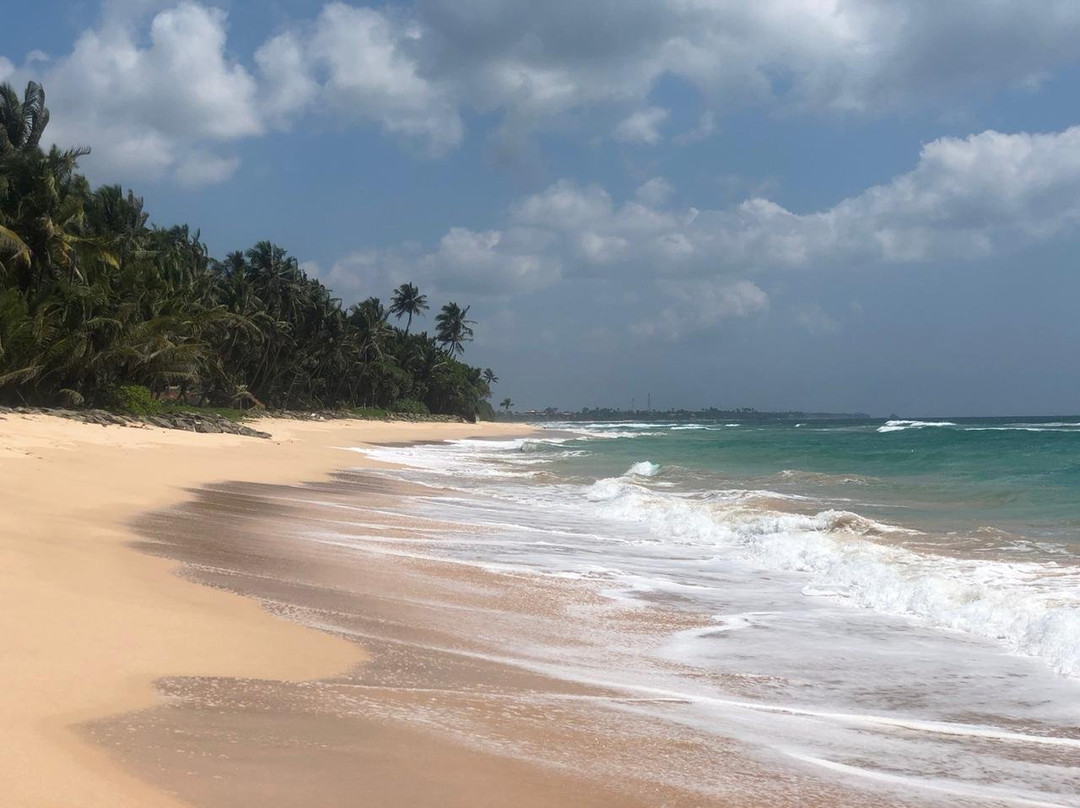 哈密瓜水族主图