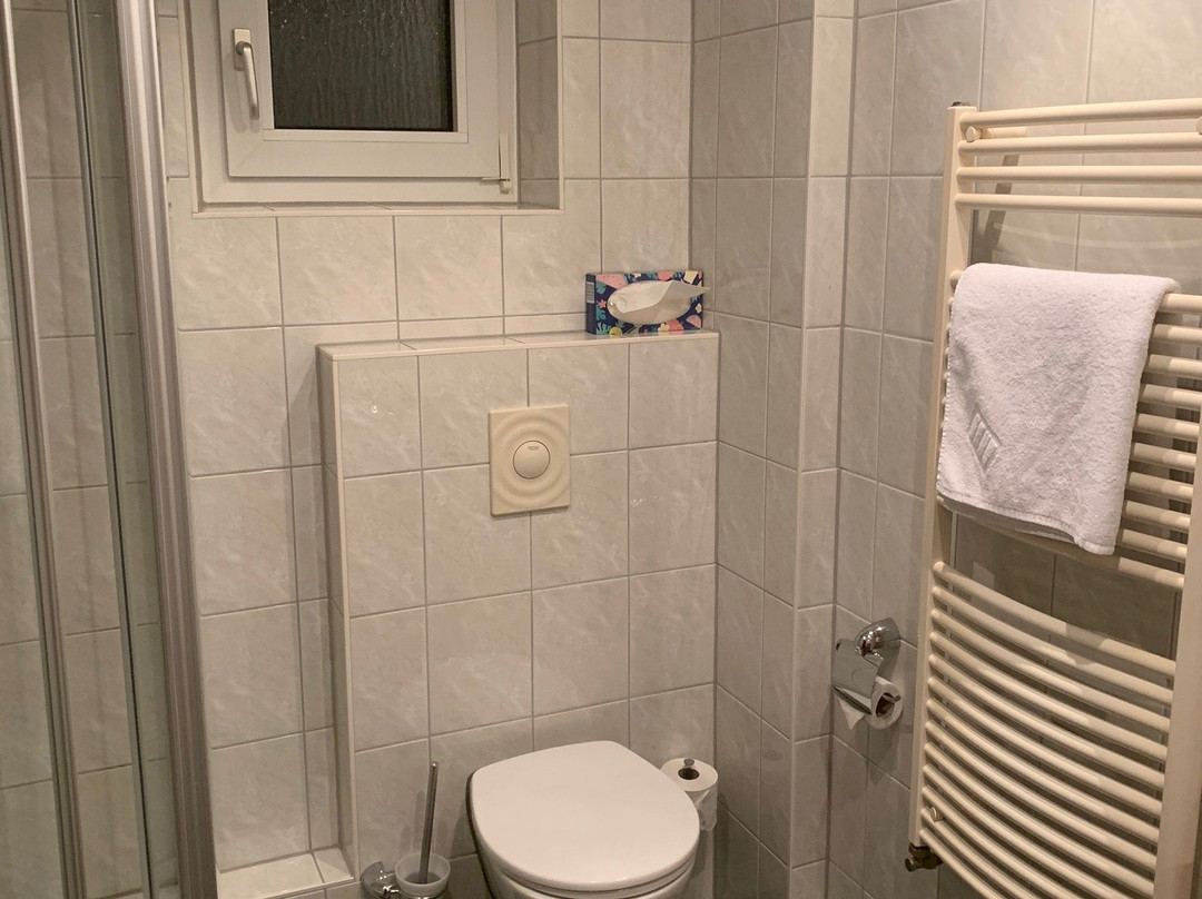 Hotel-Gasthof Am Forsthof主图