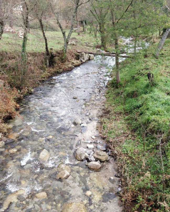 Casa da Ribeira do Cirio主图