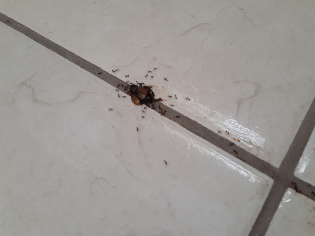 Hotel Embassy Lunahuana主图