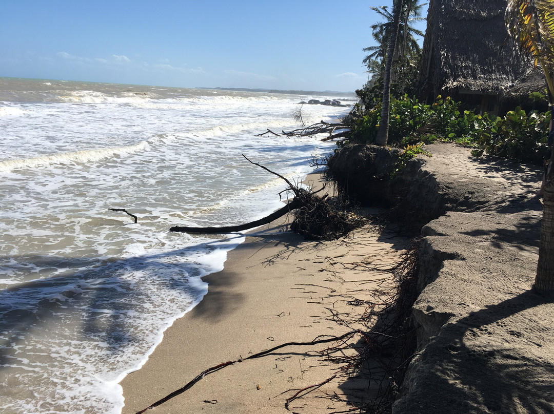 La Sirena Nature Retreat主图