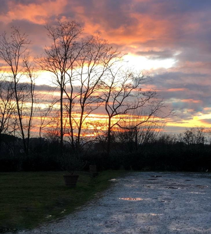 Agriturismo Terre di Leonardo主图