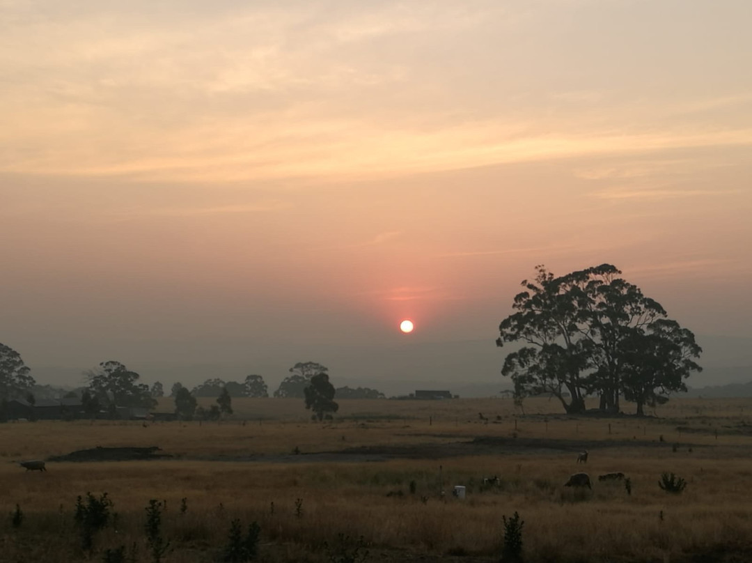 Rooks Edge Bed & Breakfast主图