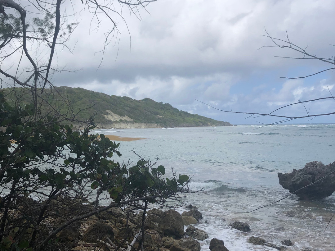 SUP Barbados景点图片