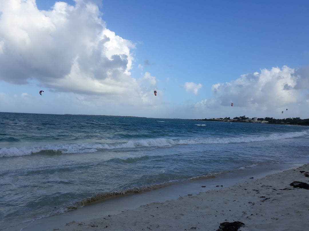Jabberwock Beach-圣 约翰必去景点